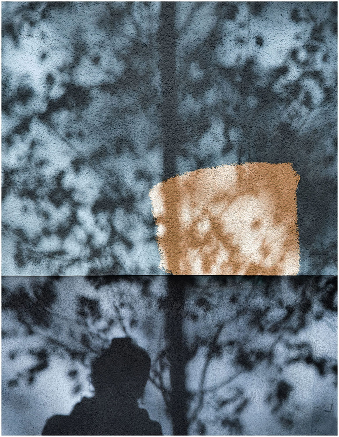 Schattenriss von einer Person (Kopf und Oberkörper) und einem Baum auf einer Hauswand