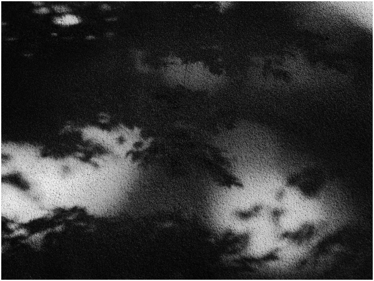 Schwarz-Weiß_Fotografie: Schatten von Pflanzenblättern und Lichtflecke auf Waldboden