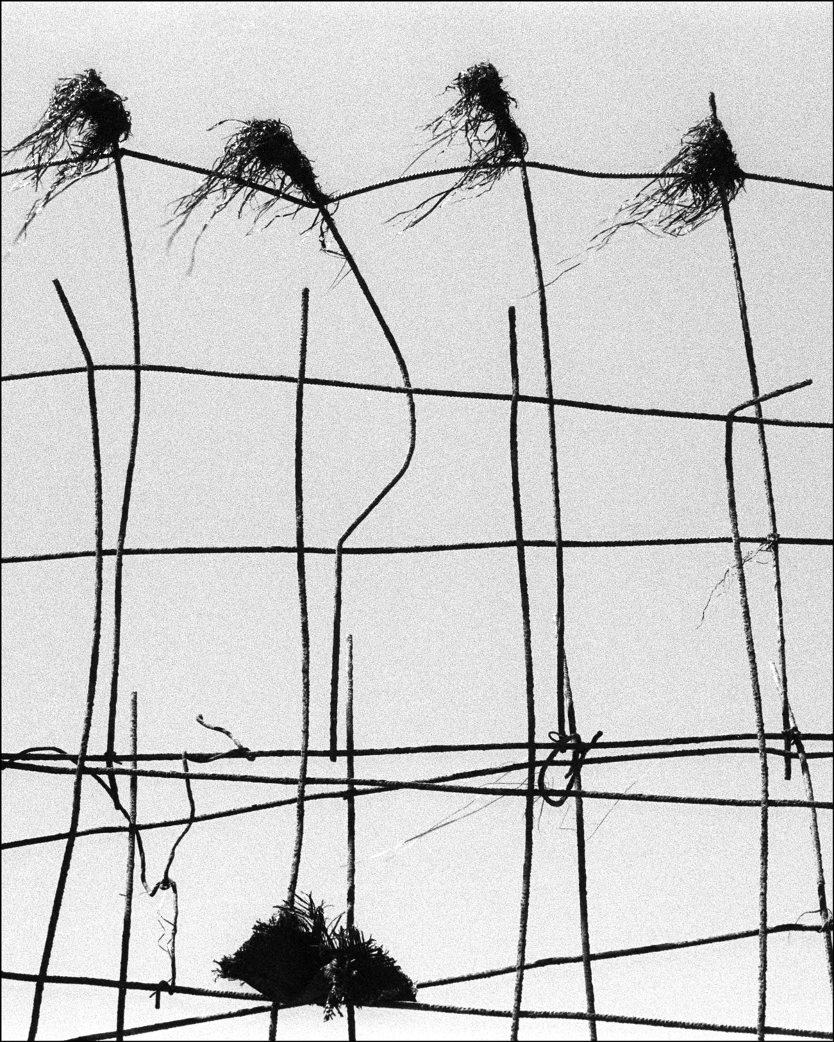 Schwarz-Weiß-Fotografie: Drahtzaum vor grauem Hintergrund, analog fotografiert