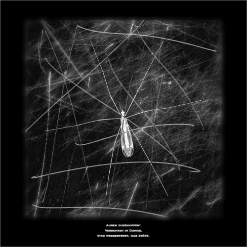 Schwarz-Weiß-Fotografie von einem Insekt, über das mehrere Linien verlaufen. Das Motiv ist mit einem Kurzgedicht beschriftet.