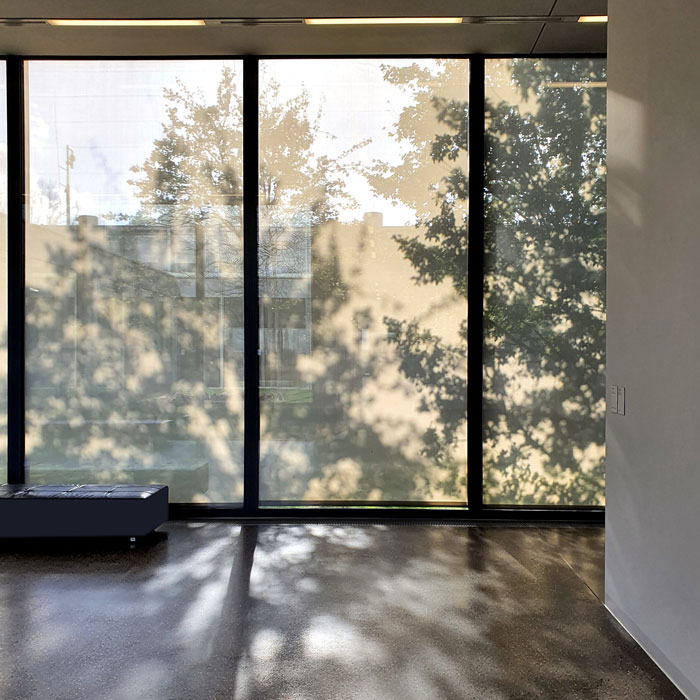 Farbfotografie, die eine eine Fensterwand zeigt, in der sich Bäume und Gebäude in der Sonne spiegeln