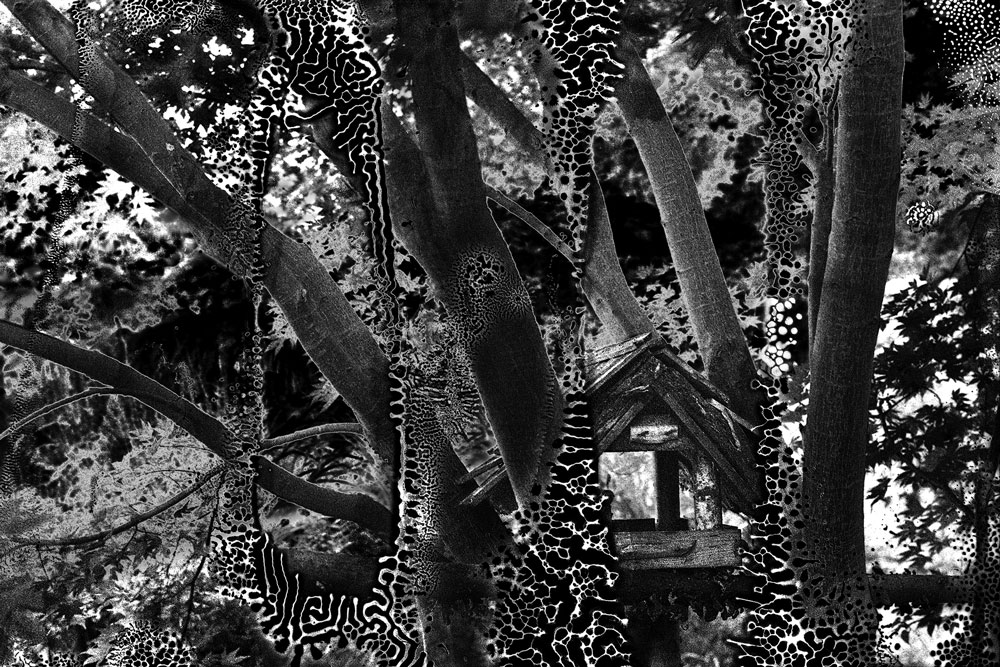 Analoge Schwarz-Weiß-Fotografie v. einem Vogelhäuschen im Garten